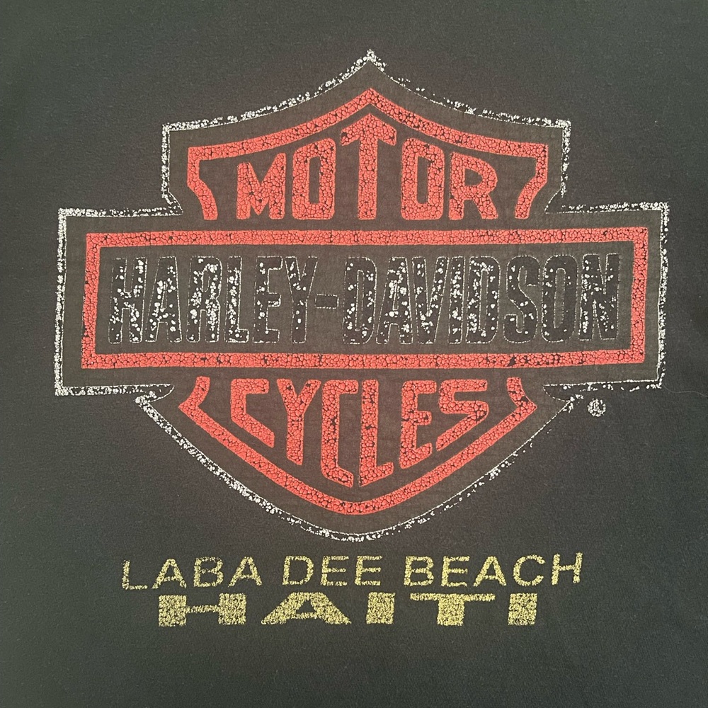 Vintage Harley T-Shirt